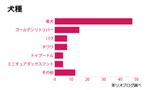 ネルソンズドッグフード