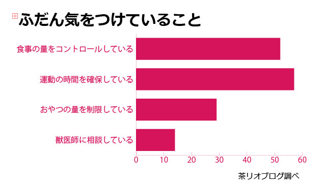 ペロリコライトドッグフード