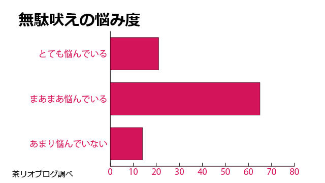 しつけプラス