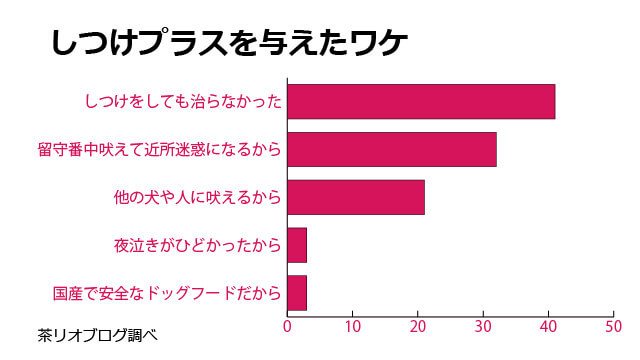 しつけプラス