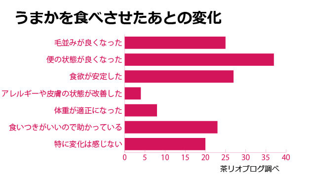 うまかドッグフード