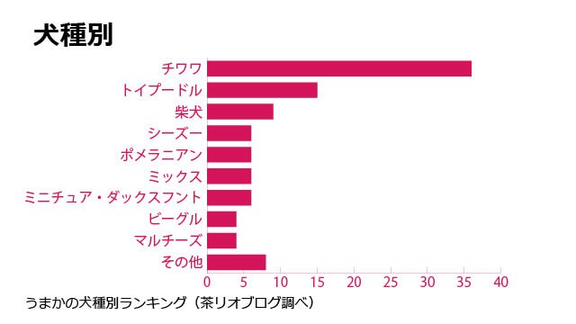 うまかドッグフード