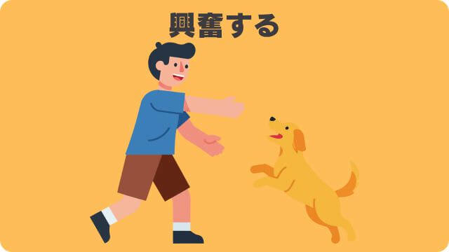 犬が吠える理由