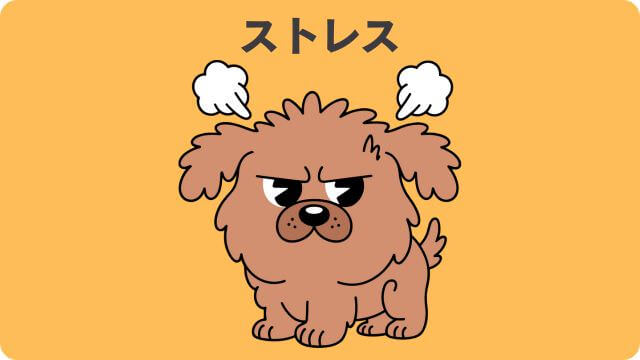 犬が吠える理由