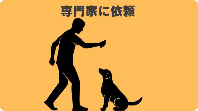 犬が吠える理由
