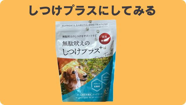 犬が吠える理由