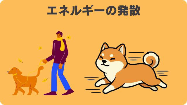 犬が吠える理由