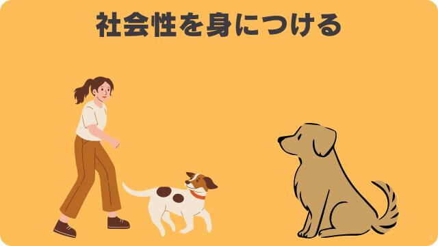 犬が吠える理由