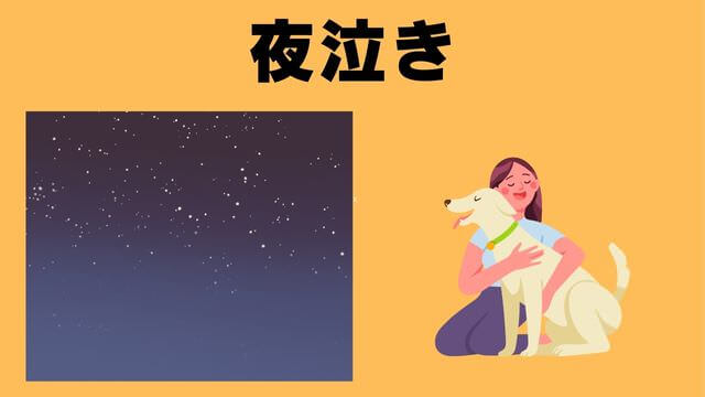 犬の主従関係をチェック