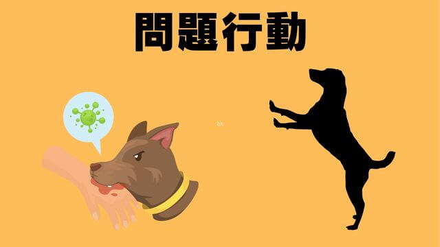 犬の主従関係をチェック