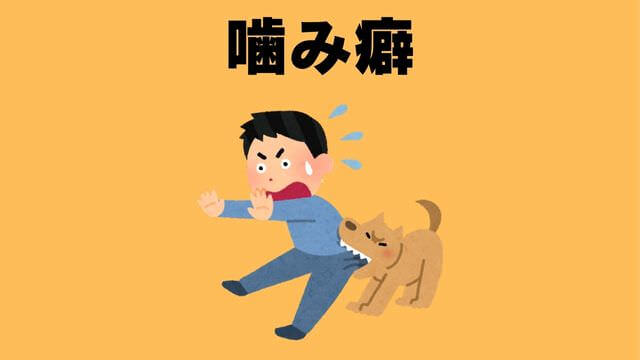 犬の主従関係をチェック