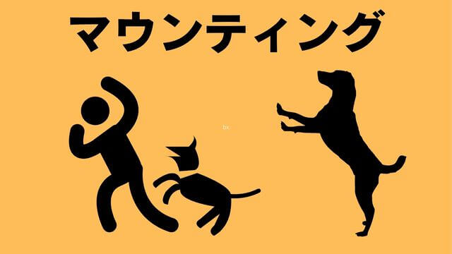 犬の主従関係をチェック