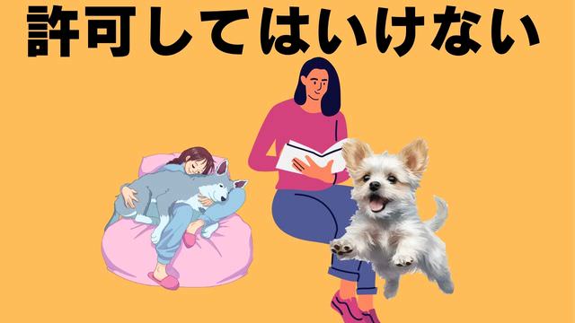 犬の主従関係をチェック