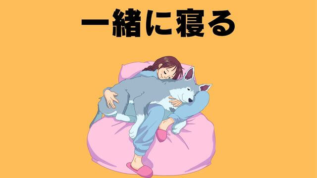 犬の主従関係をチェック