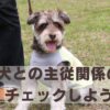 犬との主従関係チェック