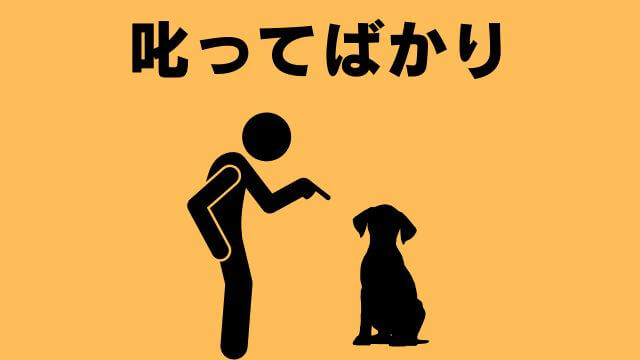 犬の主従関係をチェック