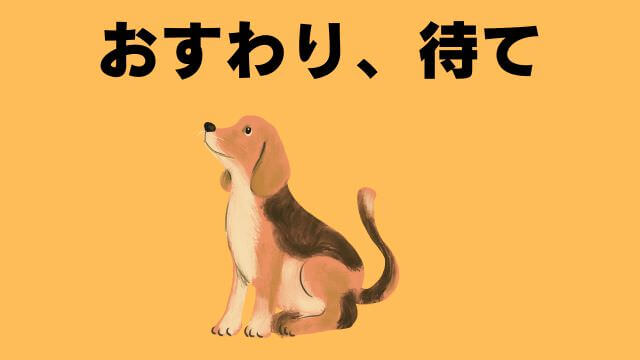 犬の主従関係をチェック