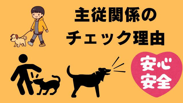 犬の主従関係をチェック