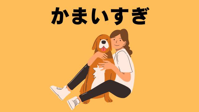 犬との主従関係チェック