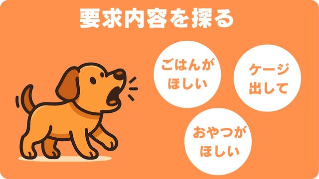 犬の要求吠えを