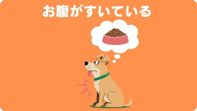 犬の要求吠え