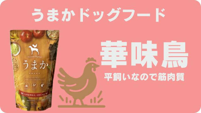 シニアドッグフード