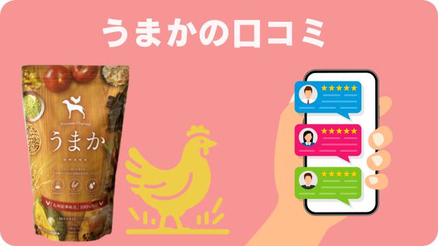 シニアドッグフード