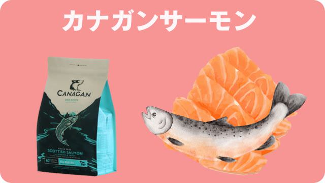 カナガンサーモン