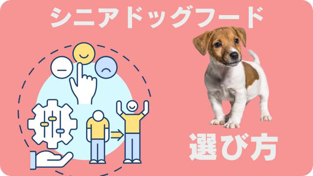シニアドッグフード