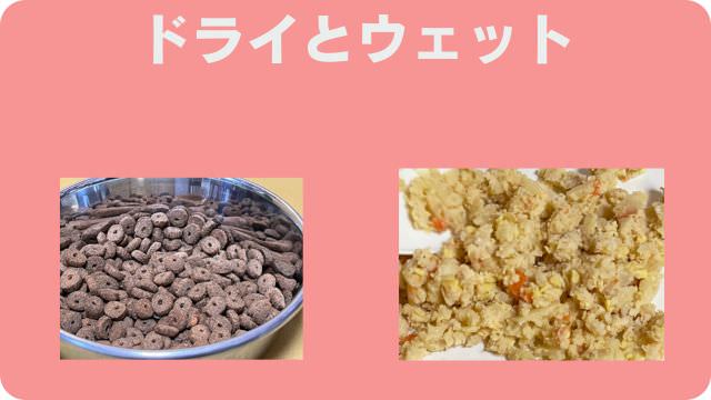 シニアドッグフード