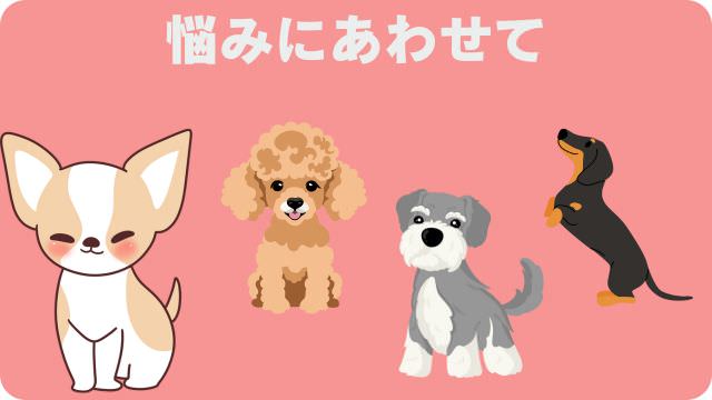 シニアドッグフード