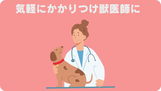 シニアドッグフード