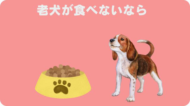 シニアドッグフード
