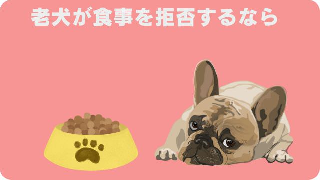 シニアドッグフード