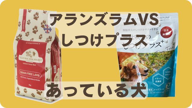 アランズナチュラルラムとしつけプラス