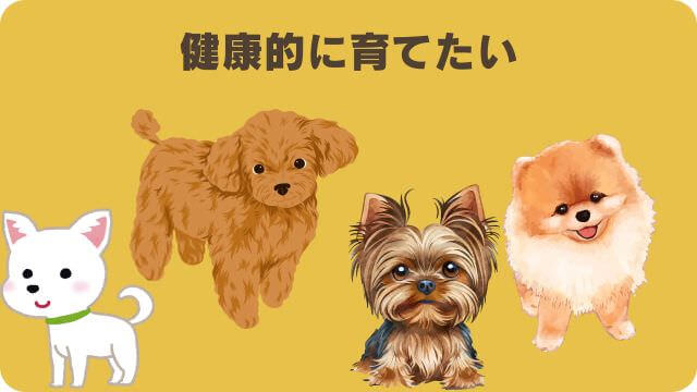 アランズナチュラルラムとしつけプラス