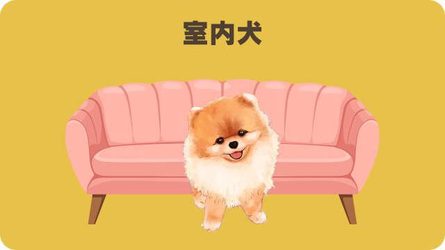 アランズナチュラルラムとしつけプラス