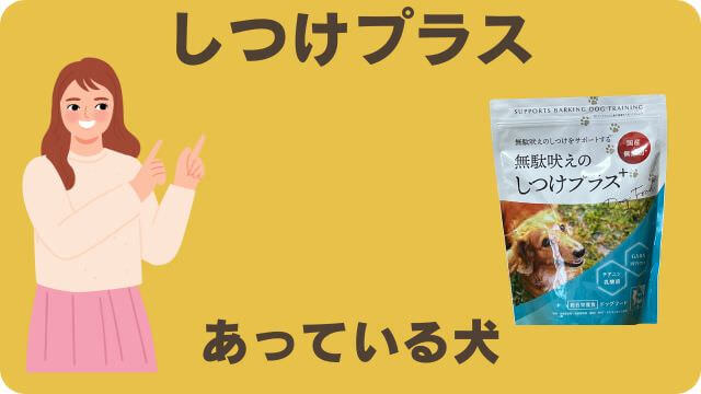 アランズナチュラルラムとしつけプラス