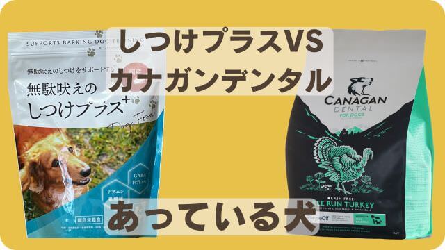 しつけプラスとカナガンデンタルドッグフード
