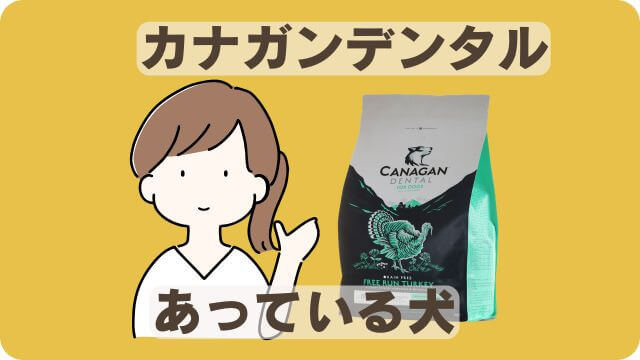 しつけプラスとカナガンデンタルドッグフード