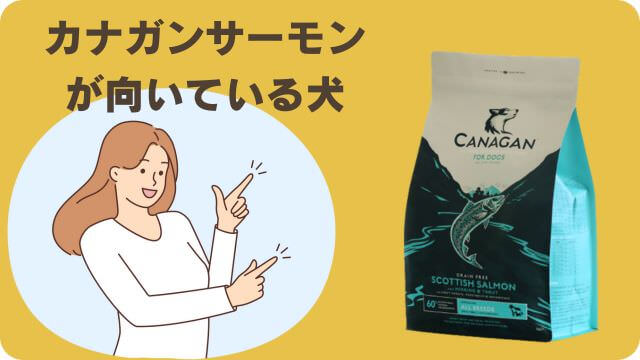 カナガンドッグフードサーモンと無駄吠え対策しつけプラス
