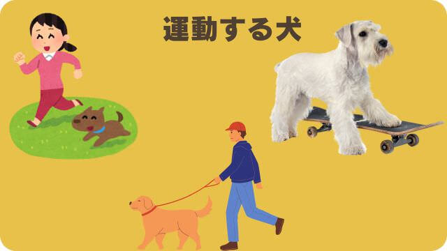 カナガンドッグフードサーモンと無駄吠え対策しつけプラス