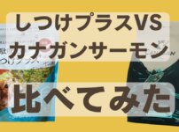 しつけプラスとカナガンドッグフードサーモン