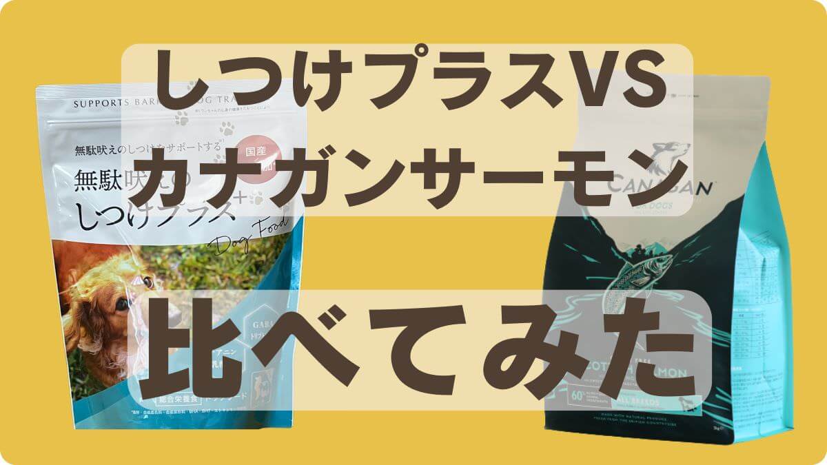 しつけプラスとカナガンドッグフードサーモン