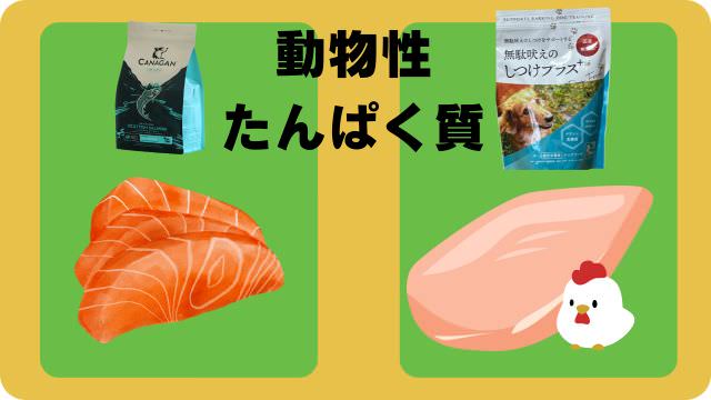 カナガンドッグフードサーモンと無駄吠え対策しつけプラス