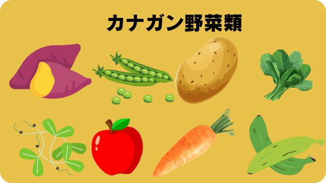 カナガンドッグフードサーモンと無駄吠え対策しつけプラス