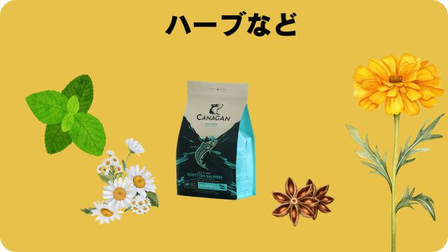 カナガンドッグフードサーモンと無駄吠え対策しつけプラス