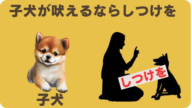 しつけプラスとエッセンシャルドッグフード
