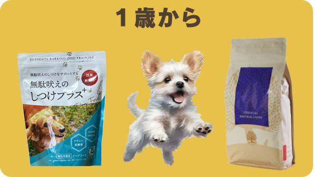 しつけプラスとエッセンシャルドッグフード