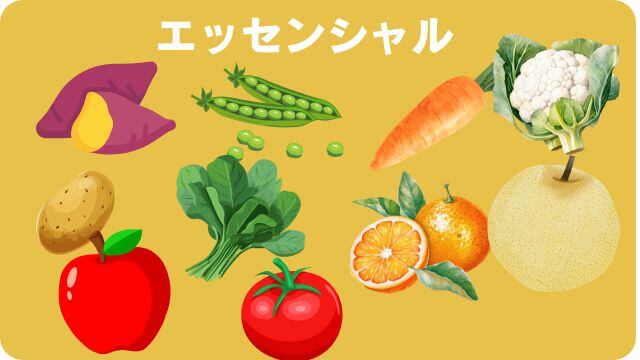 しつけプラスとエッセンシャルドッグフード